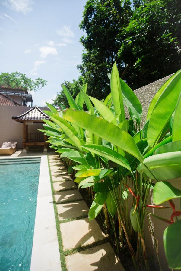 Donguri House Bali Bed & Breakfast Jimbaran Eksteriør bilde